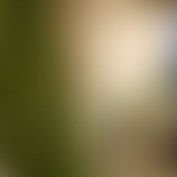 [Dallas Winter Camp] Christmas with a Family United in the Gospel: Dallas Winter Camp