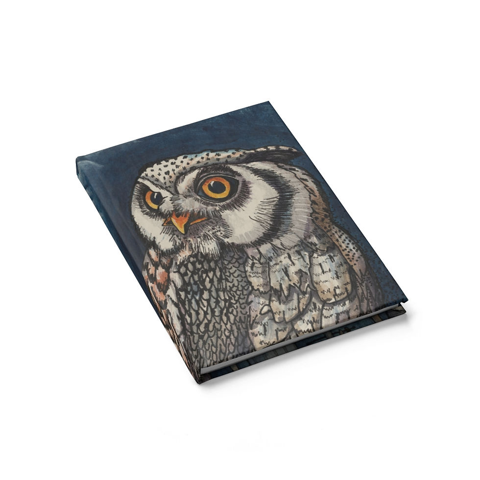 Thumbnail: Owl Hotel, Sketchbook - Blank (5"x7.2" - 128 Blank Pages)