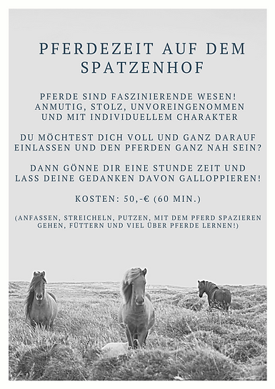 Pferdezeit.png