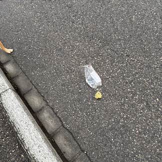 Littering