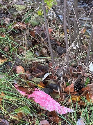 Littering