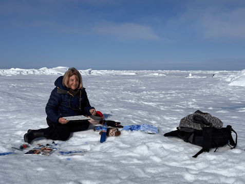 Arctic Projects