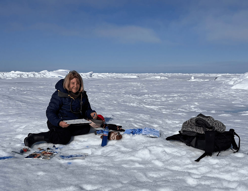 Arctic Projects