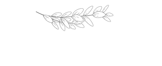 Design ohne Titel-6_edited.png