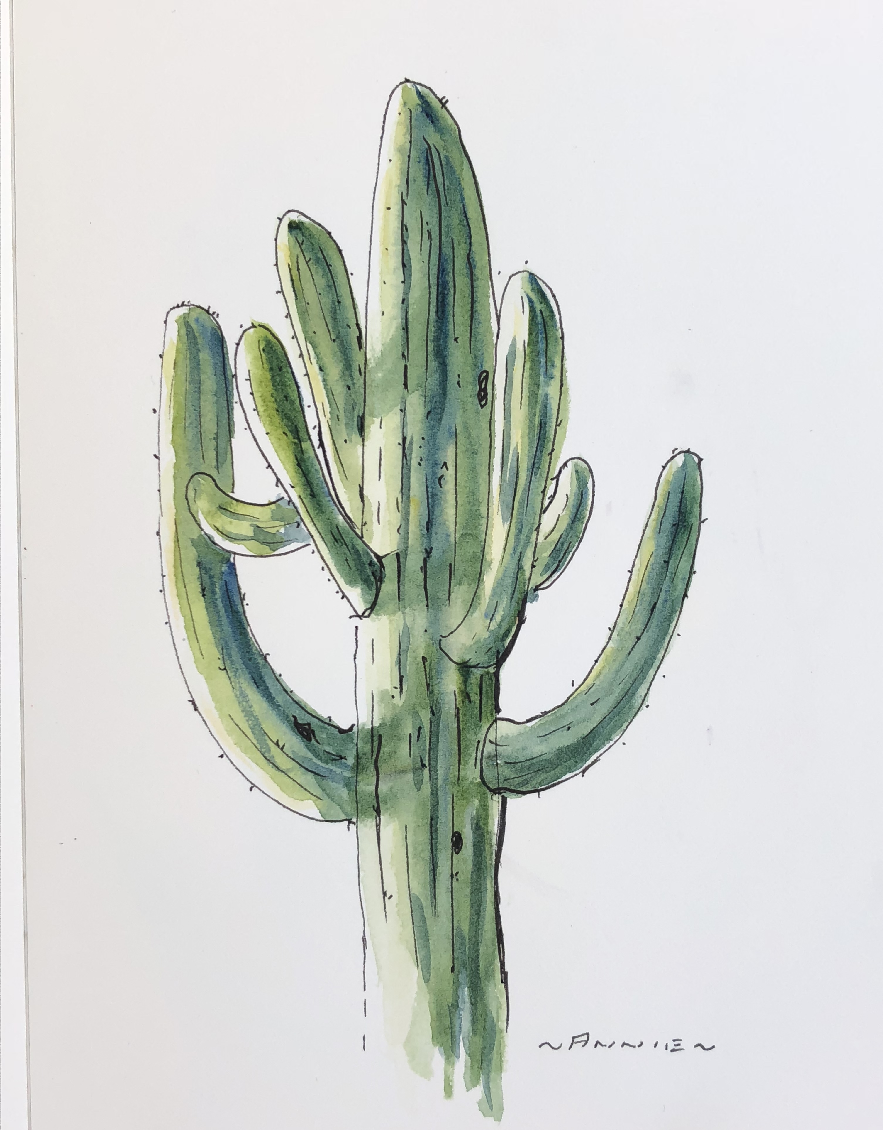 Succulent_1