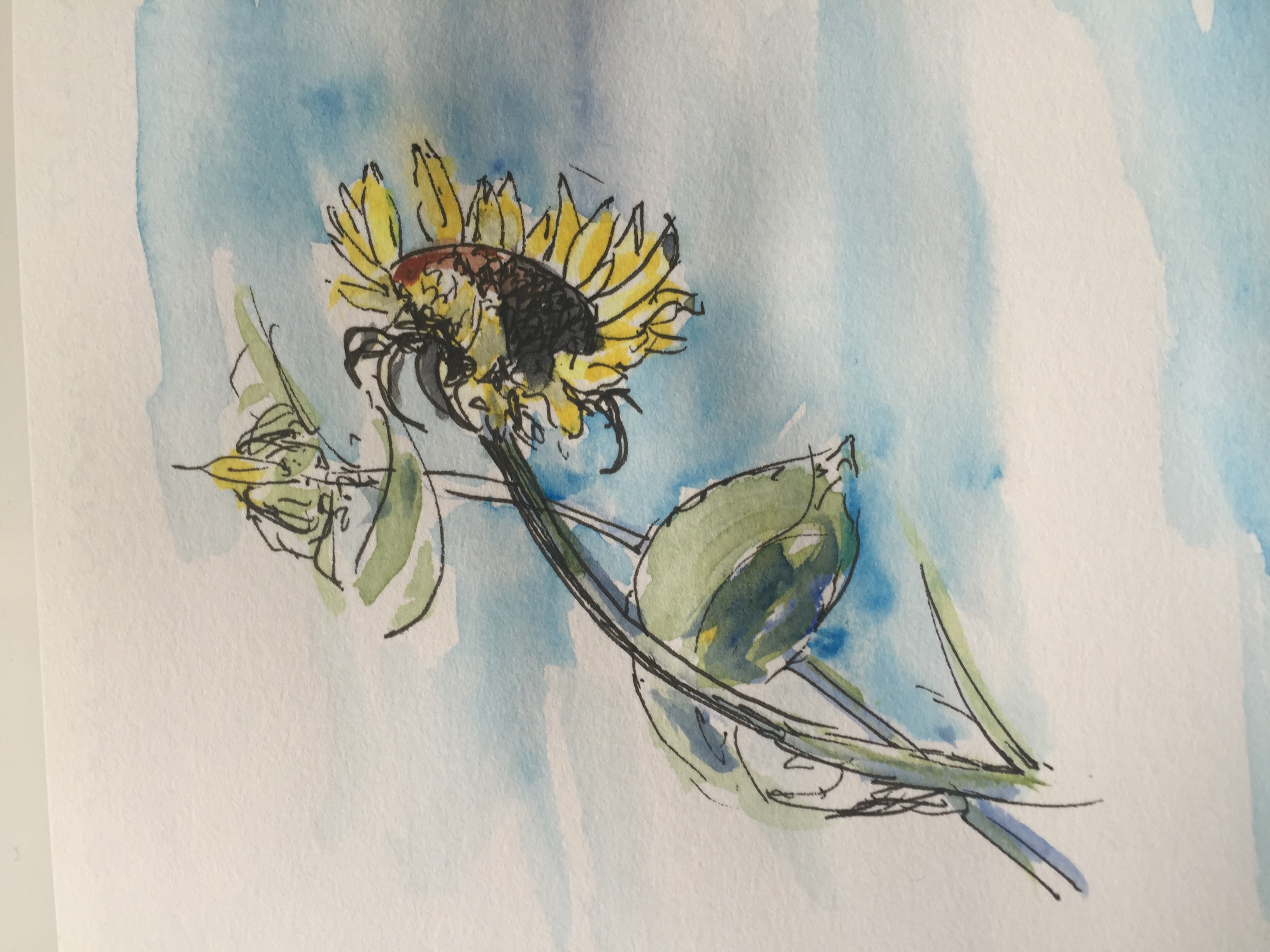 Sunflower Monet's Garden
