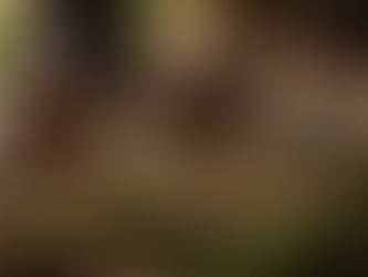 Mains d’artisans vietnamiens triant et travaillant des feuilles de thé à la main dans un atelier baigné de lumière naturelle, illustrant la transmission des gestes et la collaboration autour du thé.