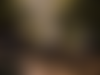 Le thé taoïste ne se met pas en scène. Il se pratique dans l’ombre, dans la lenteur, là où le geste précède le mot et où l’équilibre se rétablit sans bruit.