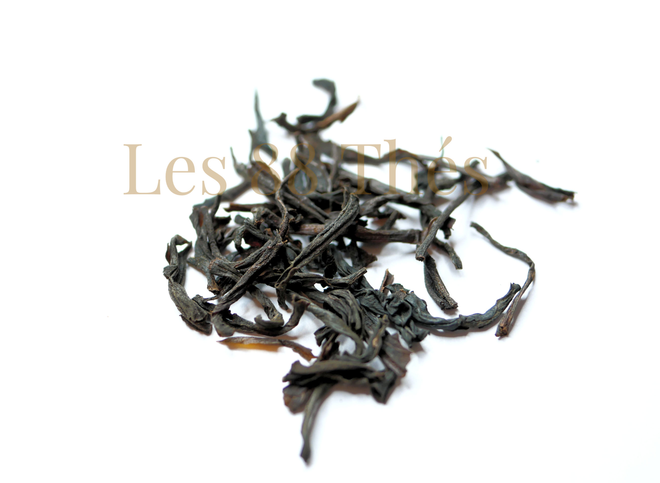 Ceylan Ashina  O.P. biologique