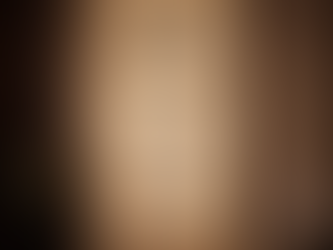 Cha No Yu — L’art japonais du thé, entre silence, beauté et intention