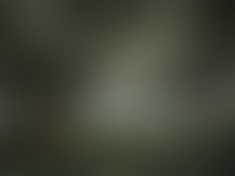 Comment reconnaître un thé de vieux arbres ?