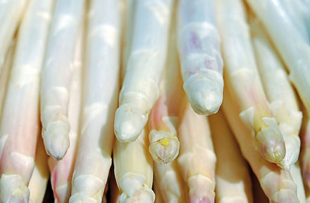 Spargel