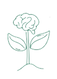 cerebro transparente.png