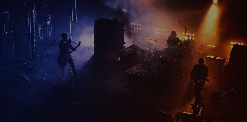 Live Concert Performance_edited_edited_edited.jpg