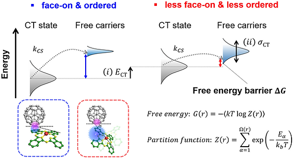 Multifunctional bilayer template for near-infrared-sensitive organic solar cells. 분자 배열과 무질서도가 태양전지에서서의 전하생성에 미치는 영향