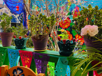 Vibrant colors will charm and inspire