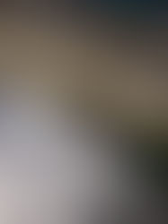 Luxury Textile Weaving Process: Tension, Repetition and Structural Precision | Viñas Genève