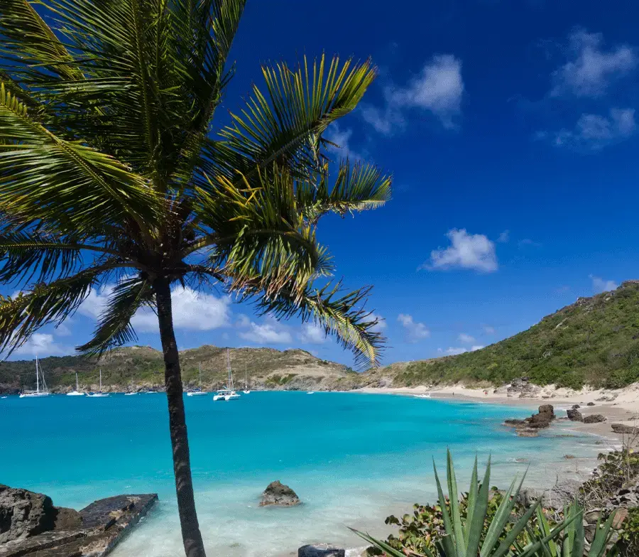 Colombier Bay Saint Barth panoramic sea view