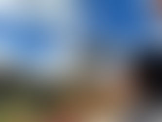 The Forest's Healing Power