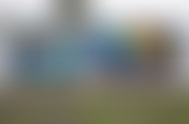 ;arge mural painting includes the word geyserville and local agriculture painted on the side of a building.