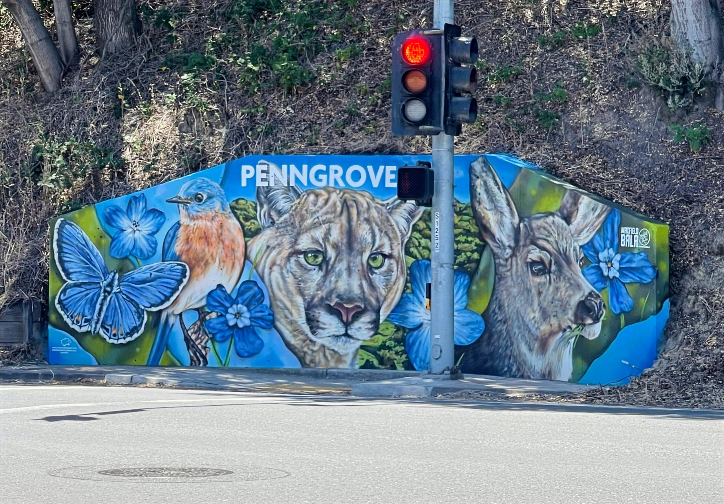 Downtown Penngrove Wall Murals