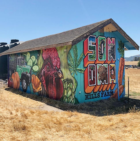 Sonoma Hills Farm Mural PAinting.JPG