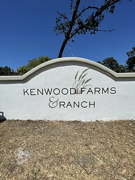 Sonoma Sign Painting