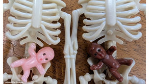 Issue 29: May 2026 (print edition released gratis 4/15)