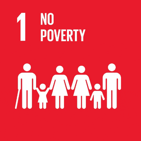 sdg.gif
