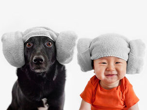 Cách dạy chó làm quen với em bé