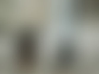 Cách dạy chó không giật và kéo dây dắt khi đi dạo