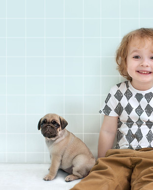 パグの子犬と少年