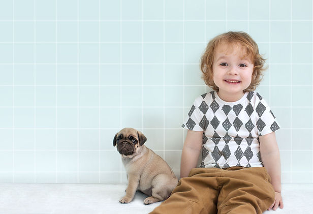 パグの子犬と少年
