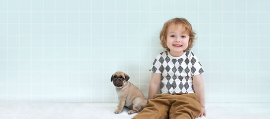 パグの子犬と少年