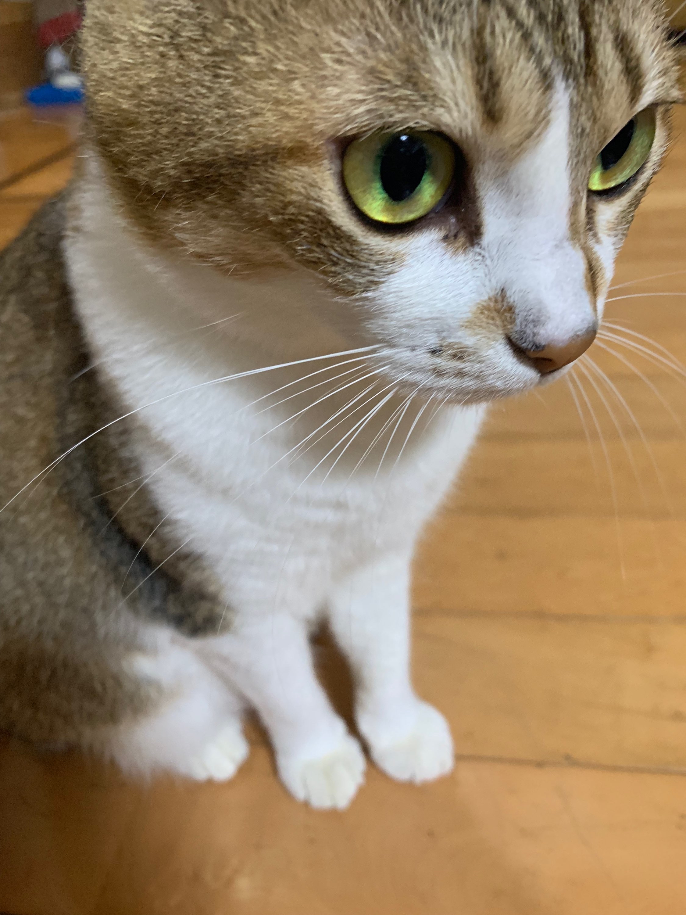 執筆者の写真: カヨコ
