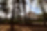 balneario_cabriel_hotel_13.jpg