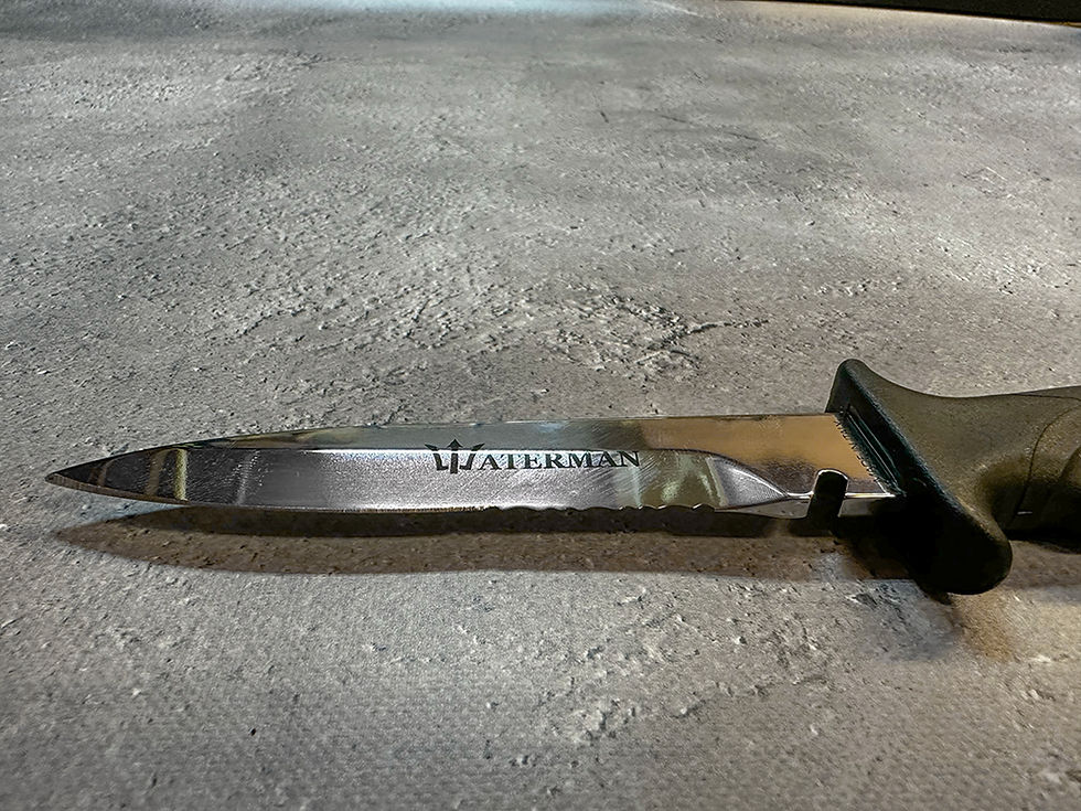 サムネイル： プロダガー