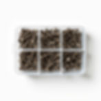 Wood Screws Assortment