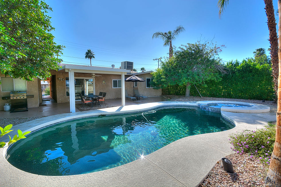 Sunny Backyard