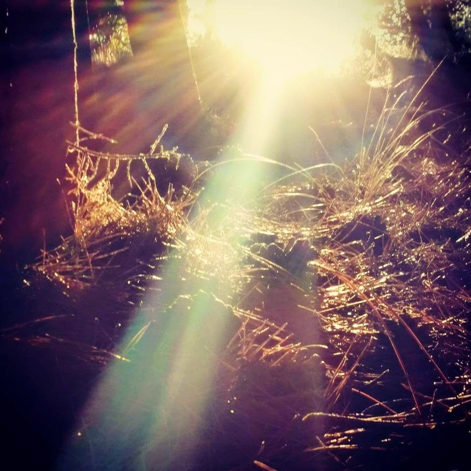 הנחיות למתמודדים עם חרדה 🪷.