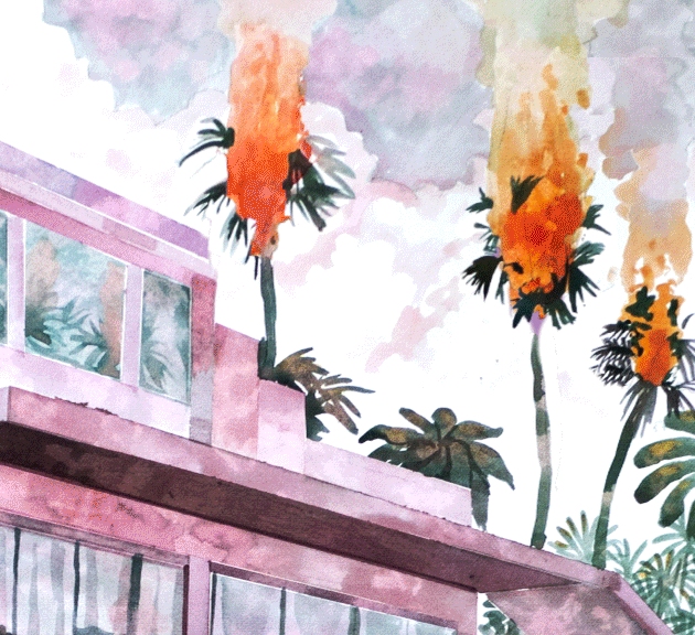 feu-palm.gif