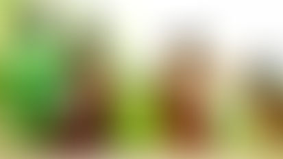 Natural Fragrance and Clean Labels Growth: Redefining the Global Fragrance Industry