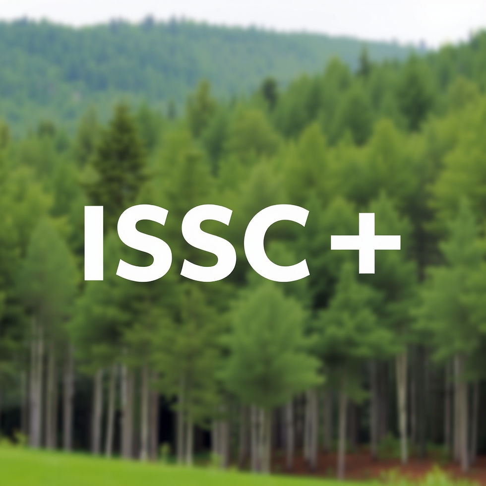 BASF Expands Sustainable Engineering Plastics Supply in China with ISCC PLUS Certification