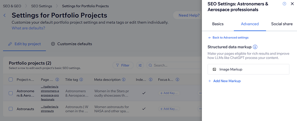 Website settings menu showing SEO settings for portfolio projects. Two project entries listed: "Astronomers & Aerospace" and "Astronauts."