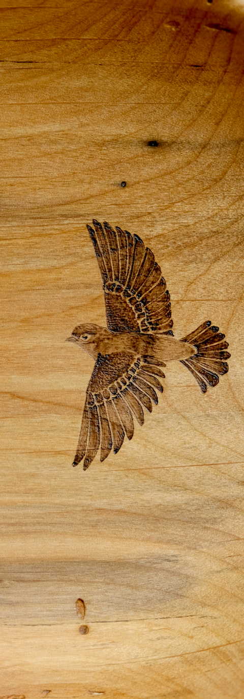 Salvaged Alder.
Woodturned and woodburned.

