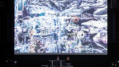 Soma's Garden Performance.jpg