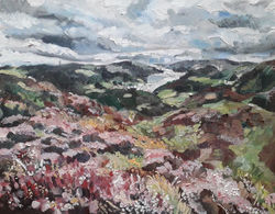 Holme Fell, Coniston