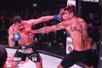 Kendell Groove, UFC fighter