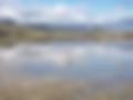 20190409_075655_edited.png