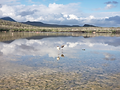 20190409_075655_edited.png
